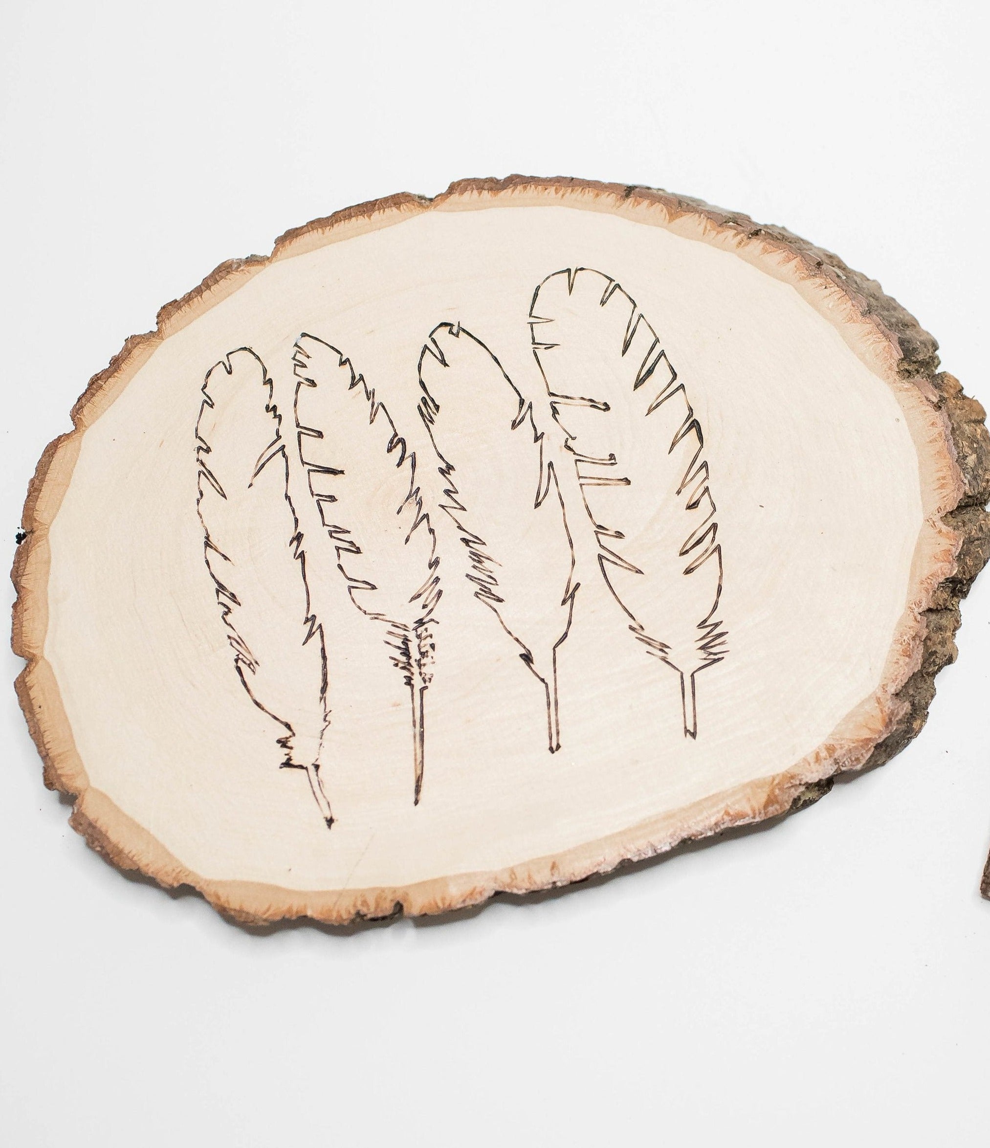Wood Burning Craft Party Pack